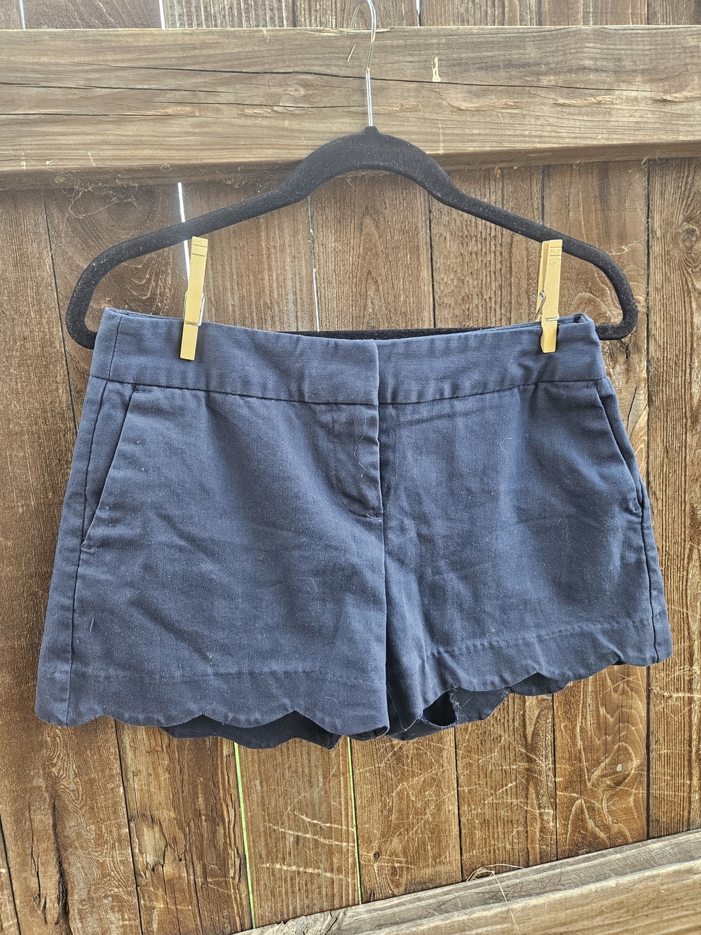 Women's Scallop Hem Shorts - Navy
